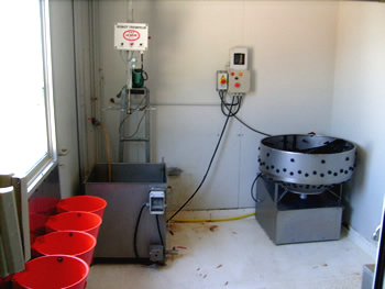 Abattoir coté tuerie